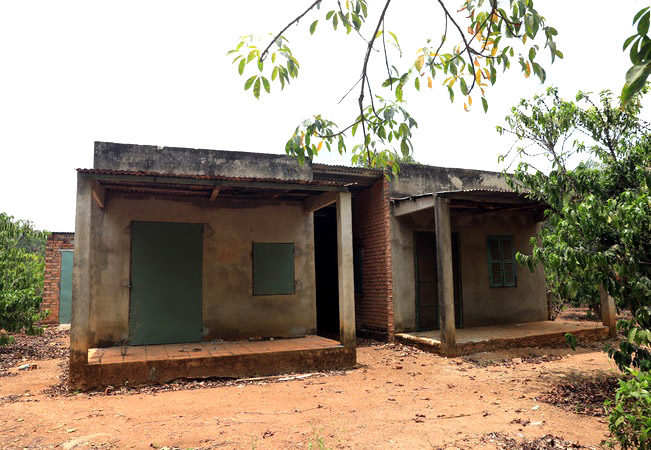 Thông tin từ đường dây nóng 